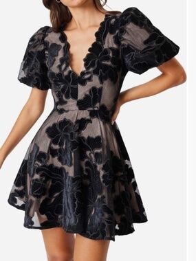 ✨NWOT✨ ELLIATT Zara Flower Appliqué Fit & Flare Mini Dress Black V Neck Velvet